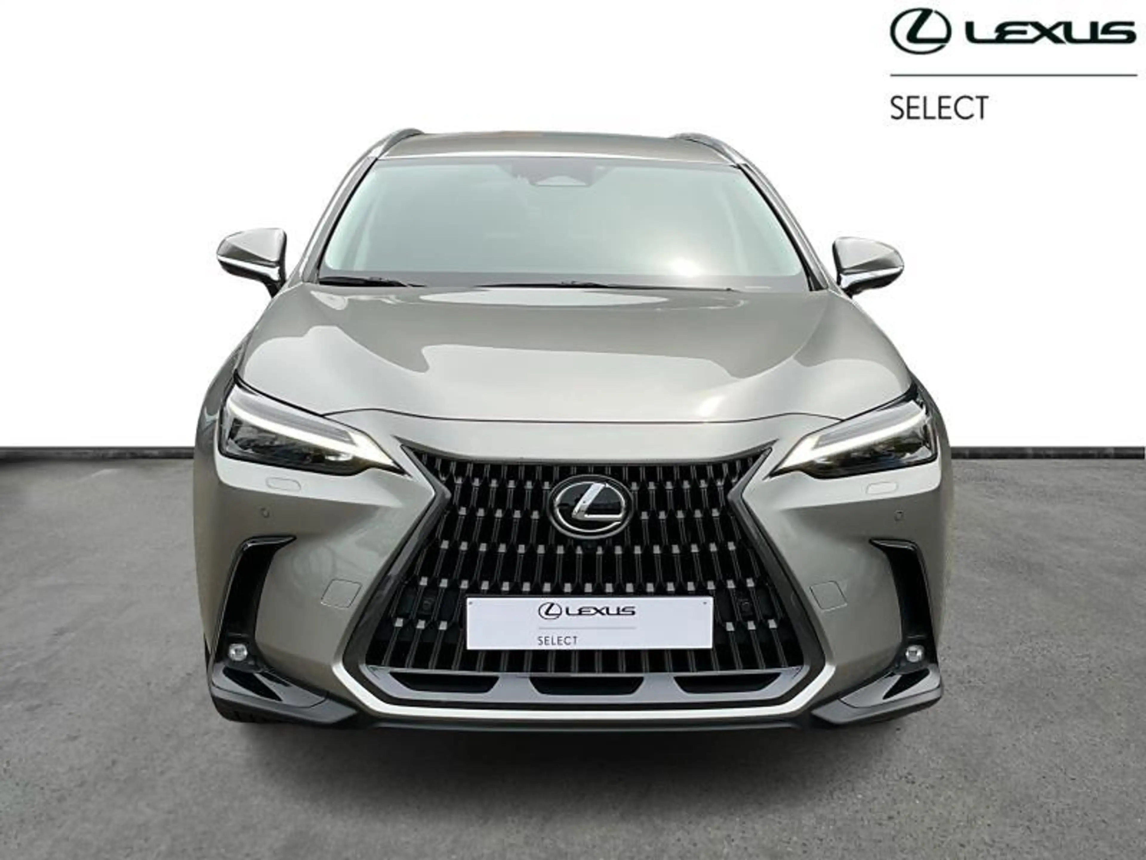 Lexus NX 450h+ Privilege Line PHEV — photo 5