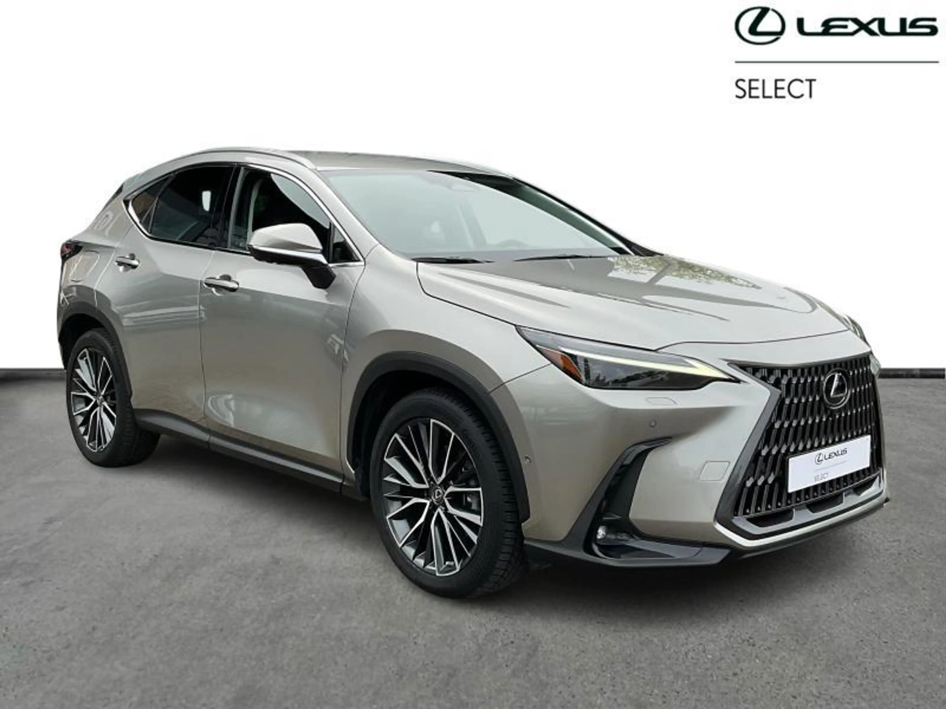 Lexus NX 450h+ Privilege Line PHEV — photo 15