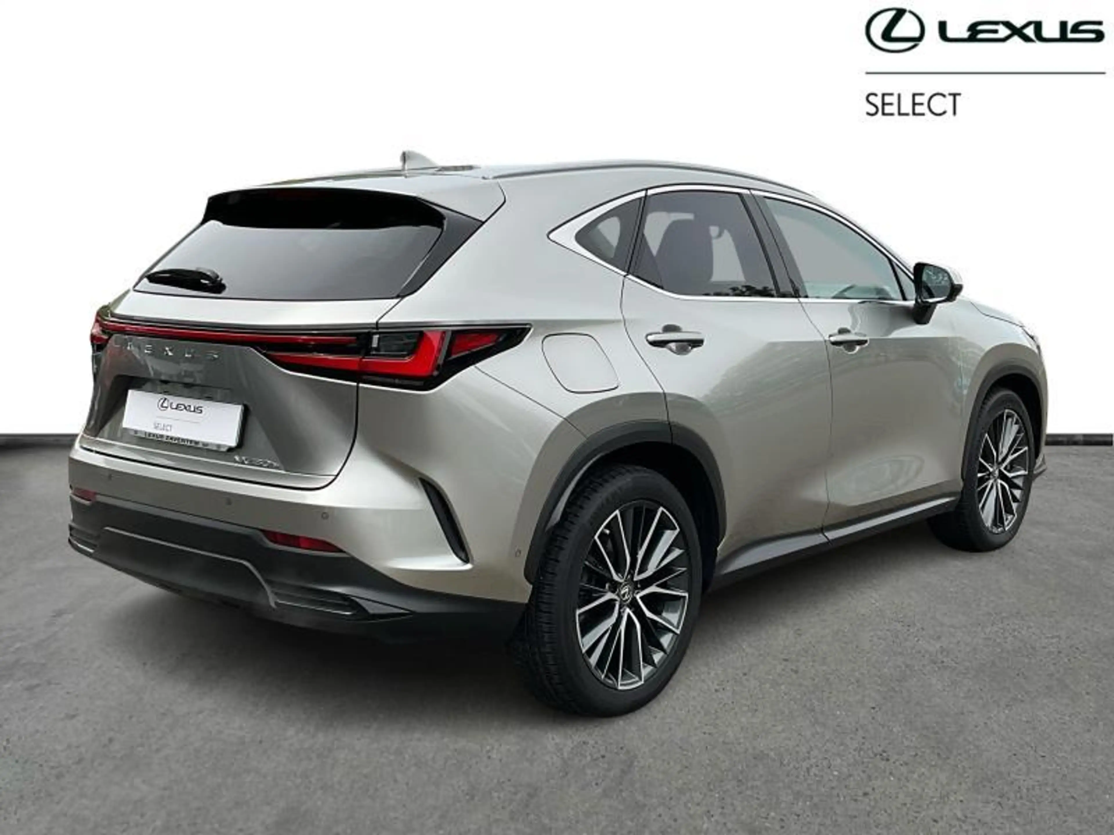 Lexus NX 450h+ Privilege Line PHEV — photo 14