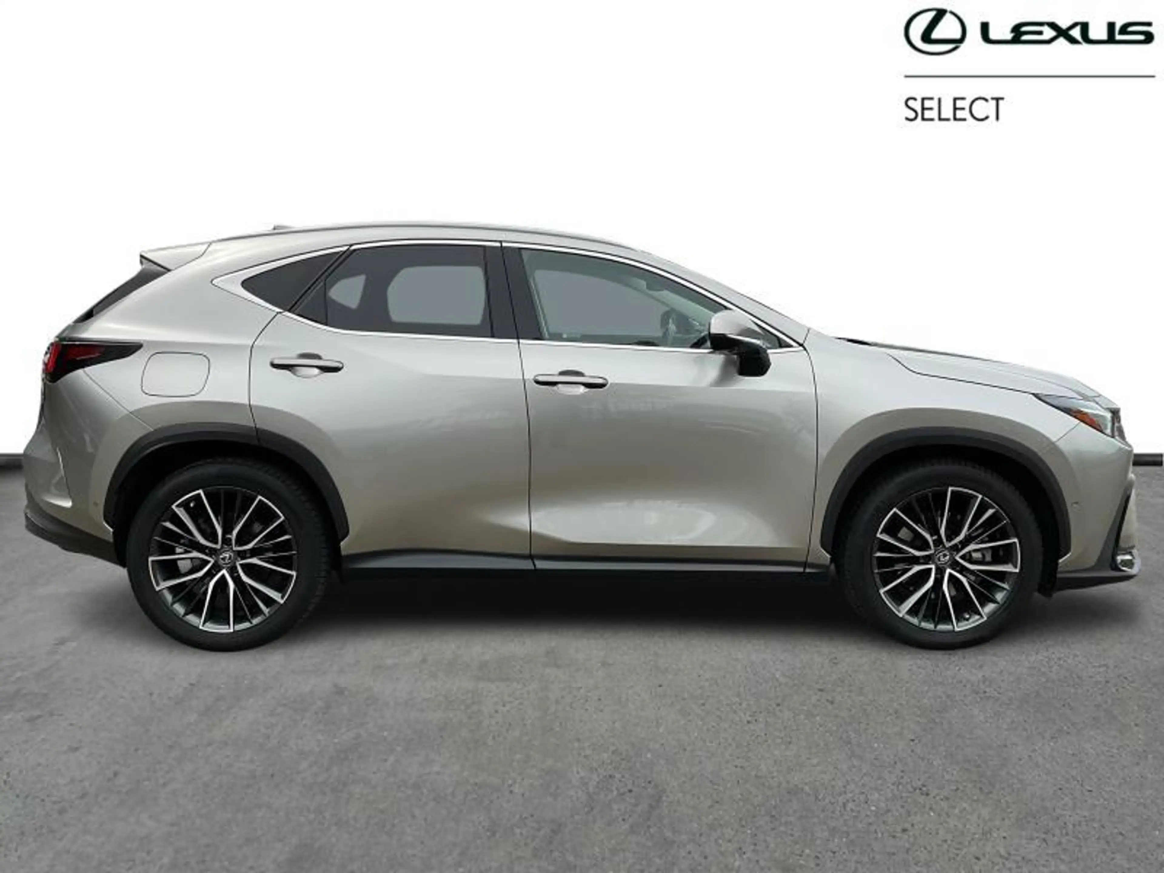 Lexus NX 450h+ Privilege Line PHEV — photo 13