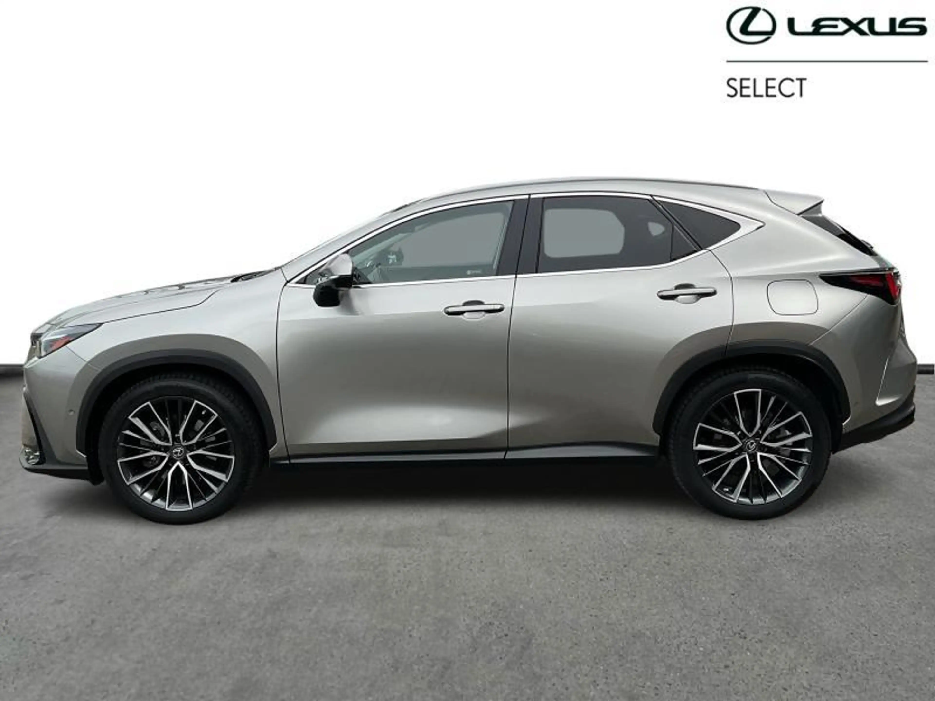 Lexus NX 450h+ Privilege Line PHEV — photo 3
