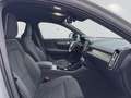 Volvo XC40 B4 B DKG Plus Dark Grau - thumbnail 12