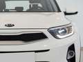 Kia Stonic 1.2 DPi Concept Weiß - thumbnail 13