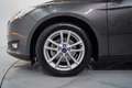 Ford Focus 1.0 Ecoboost Auto-S&S Trend+ 125 Gris - thumbnail 11