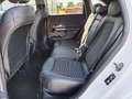 Mercedes-Benz B 200 d 4MATIC Aut. *LED*360°Kamera*SHZ*APP*NAVI Weiß - thumbnail 30
