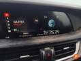 Alfa Romeo Stelvio 2.2 Diésel 118kW (160CV) Executive RWD Gris - thumbnail 20