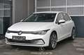 Volkswagen Golf VIII 1.0 TSI Life Pickerl NEU Weiß - thumbnail 1
