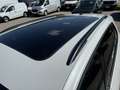 Volkswagen Tiguan 2,0 TDI 4Motion R-Line DSG Weiß - thumbnail 10