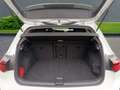 Volkswagen Golf VIII  1.0 TSI Life+Panoramadach+PDC+Spoiler Weiß - thumbnail 5