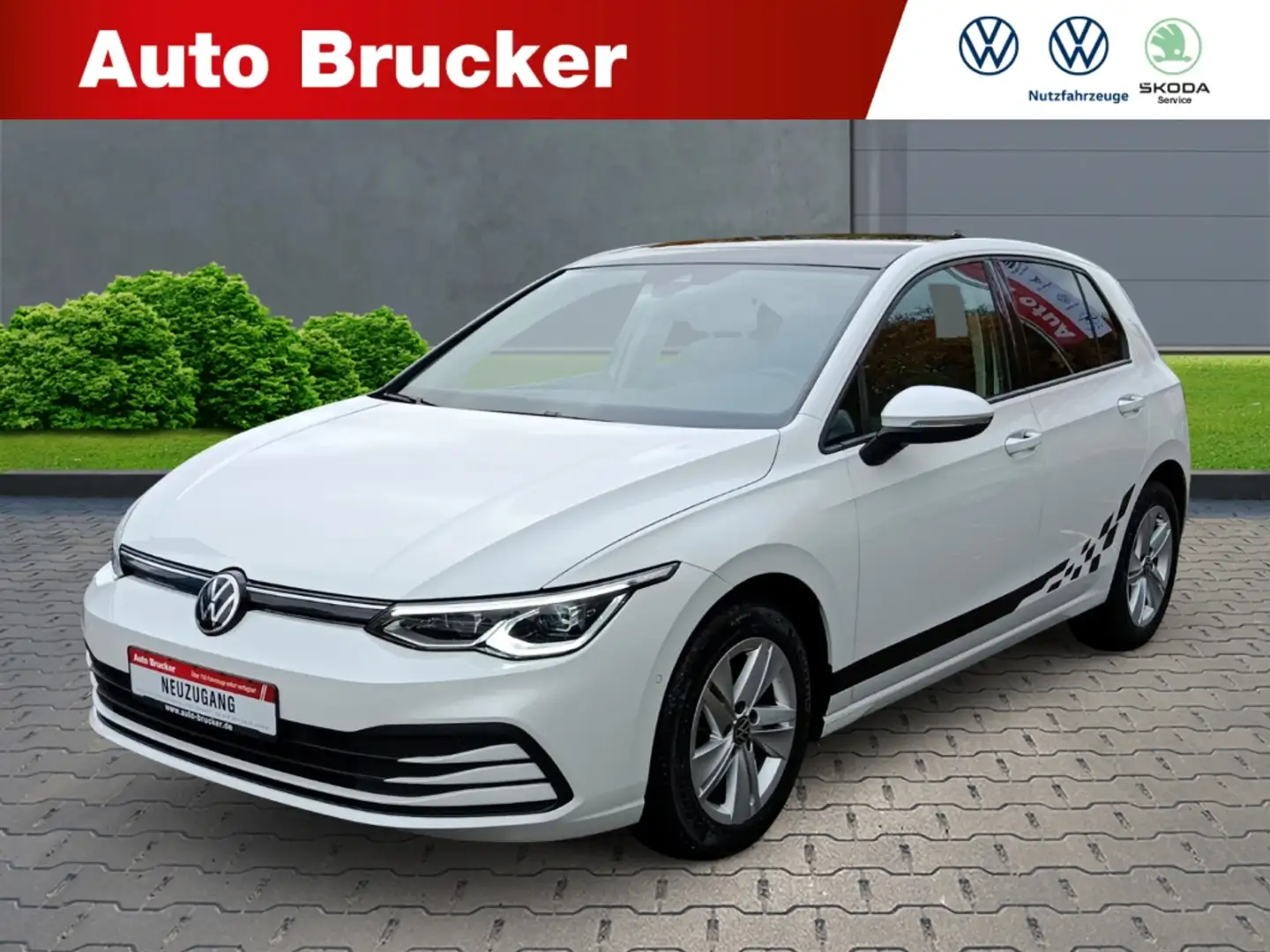 Volkswagen Golf VIII  1.0 TSI Life+Panoramadach+PDC+Spoiler Weiß - 1