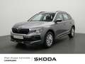 Skoda Kamiq TSI Selection LED FACEL SHZ KLIMA PDC Grau - thumbnail 1