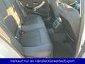 BMW 316 316i Lim. Weiß - thumbnail 12