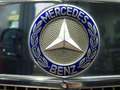 Mercedes-Benz MERCEDES-BENZ 250 S (108) Berlina  Automático de - thumbnail 48