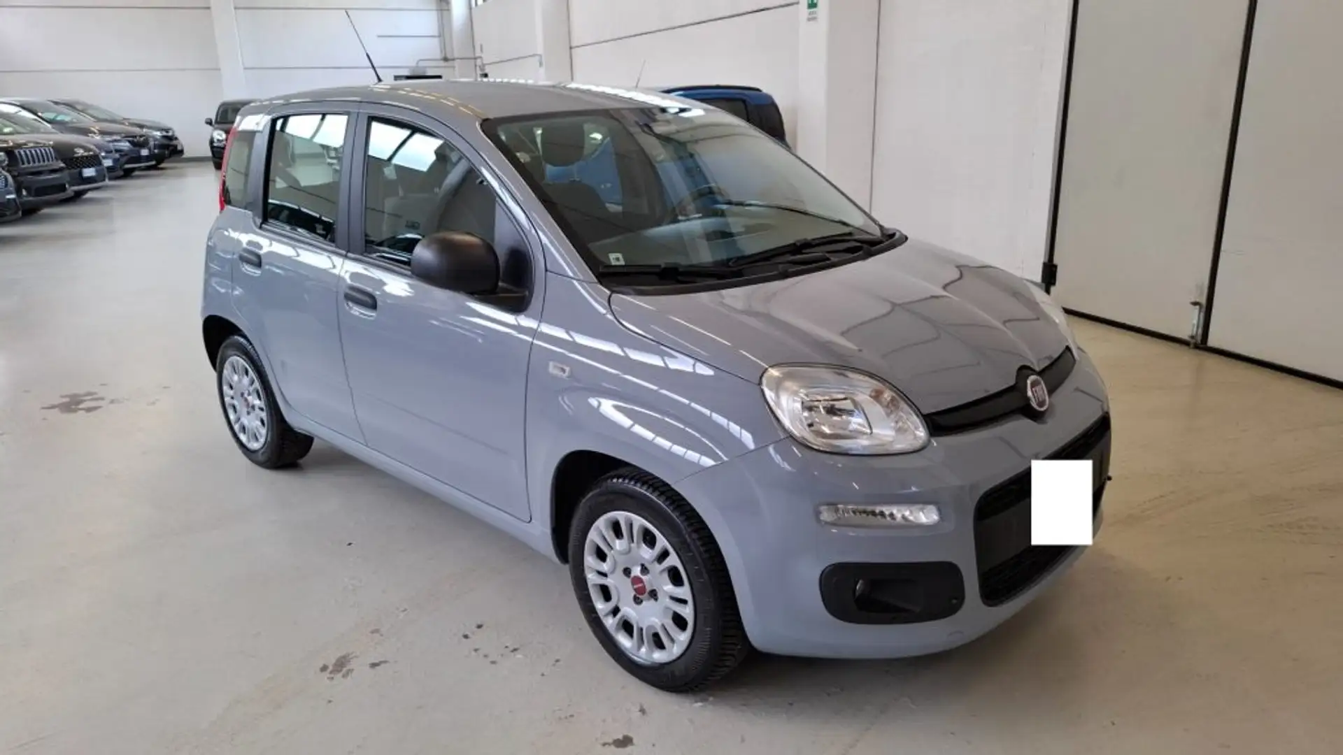 Fiat Panda 1.2 EasyPower GPL Grigio - 1