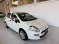 Fiat Punto 1.2 8V 5p. Lounge Weiß - thumbnail 3