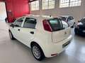 Fiat Punto 1.2 8V 5p. Lounge Weiß - thumbnail 10