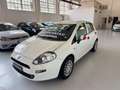 Fiat Punto 1.2 8V 5p. Lounge Weiß - thumbnail 1