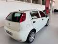 Fiat Punto 1.2 8V 5p. Lounge Weiß - thumbnail 9