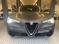 Alfa Romeo Stelvio 2.2 t Super 160cv Aziendale Fiat Gris - thumbnail 2