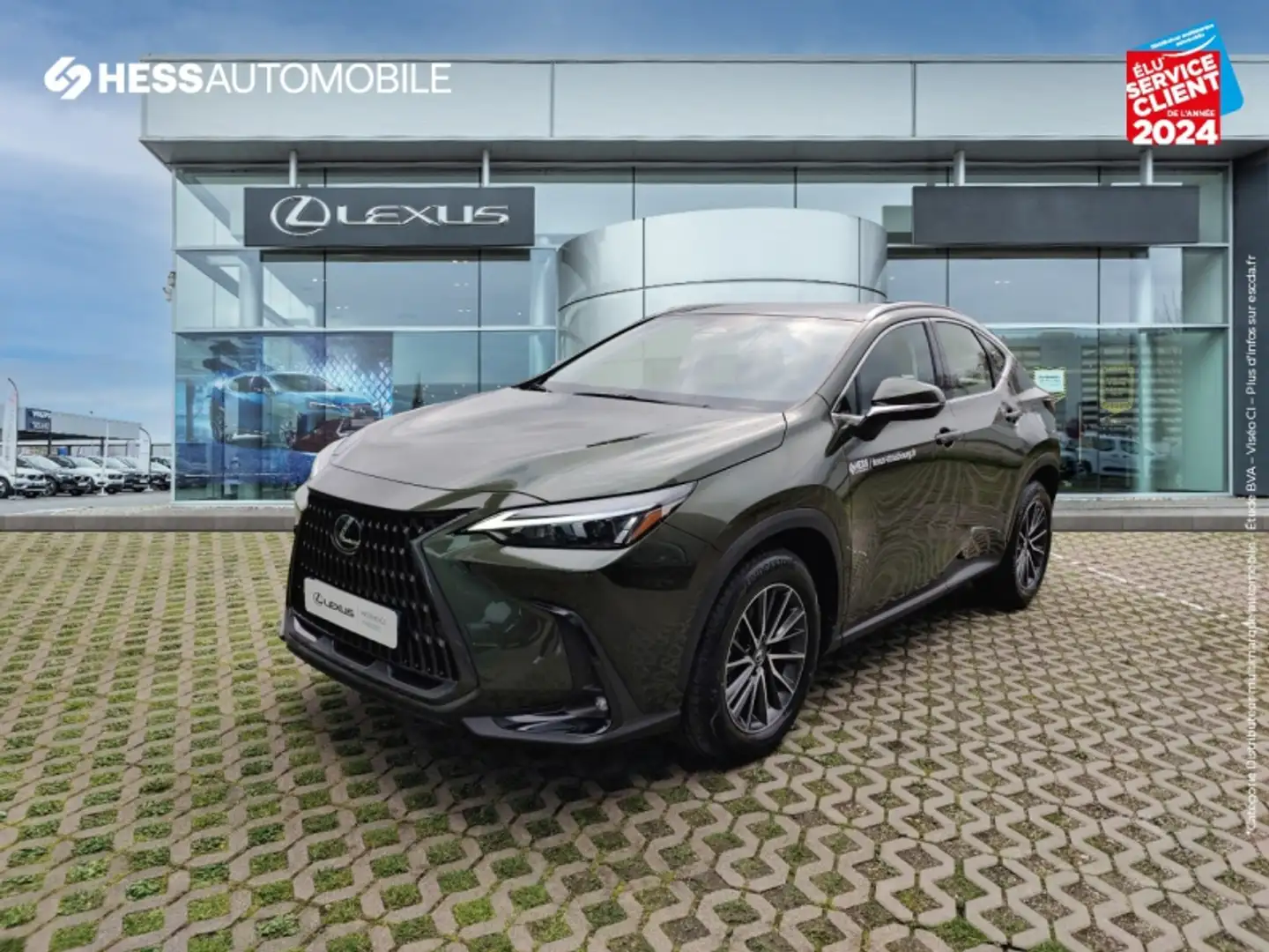 Lexus NX 350h 350h 2WD Pack Business MY24 - 1