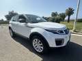 Land Rover Range Rover Evoque 5p 2.0 td4 HSE Dynamic 150cv auto - thumbnail 4