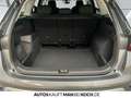 Skoda Kodiaq 1.5 TSI DSG mHEV Selection NAVI MATRIX LED Grau - thumbnail 14