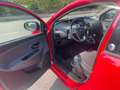 Lancia Ypsilon 1.2 69 CV 5 porte GPL Ecochic Silver Rot - thumbnail 11
