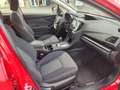 Subaru XV 1.6i Sport CVT Rojo - thumbnail 7