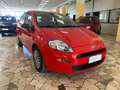 Fiat Punto Punto 5p 1.3 mjt Street s Rosso - thumbnail 4