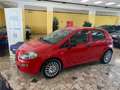 Fiat Punto Punto 5p 1.3 mjt Street s Rosso - thumbnail 2