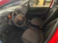 Fiat Punto Punto 5p 1.3 mjt Street s Rosso - thumbnail 6