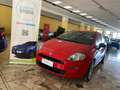 Fiat Punto Punto 5p 1.3 mjt Street s Rosso - thumbnail 11