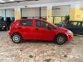 Fiat Punto Punto 5p 1.3 mjt Street s Rosso - thumbnail 5