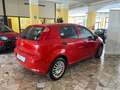 Fiat Punto Punto 5p 1.3 mjt Street s Rosso - thumbnail 13