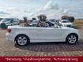 BMW 118 i Cabrio/ Atomatik 118 Baureihe 1 Cabrio Weiß - thumbnail 2