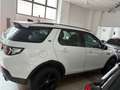 Land Rover Discovery Sport I 2015 2.0 td4 HSE Luxury awd auto Weiß - thumbnail 20