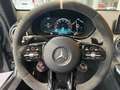 Mercedes-Benz AMG GT 4.0 V8 BiTurbo R Pro - 1 of the 750 worlwide!!! Grau - thumbnail 21