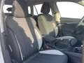 Skoda Kamiq 1.0 TSI 110 CV Black Dots Bianco - thumbnail 9
