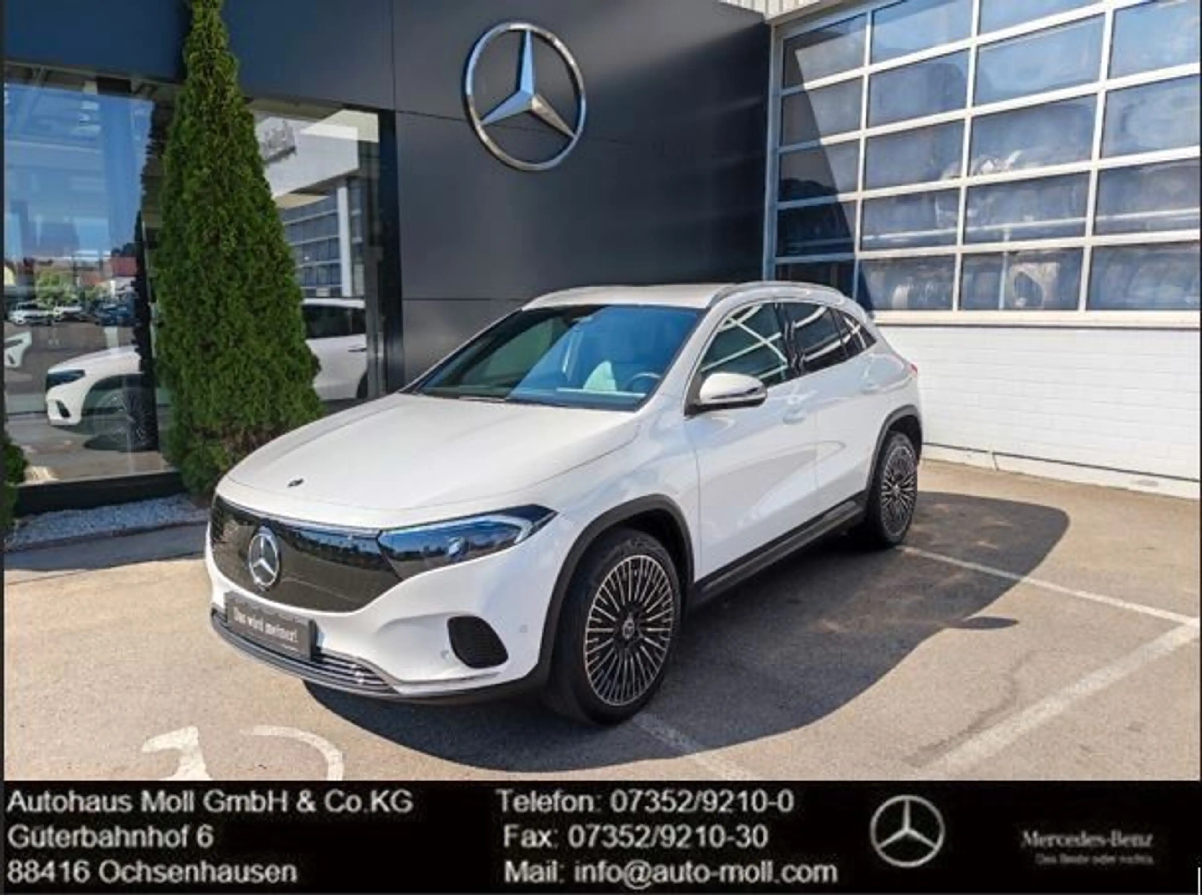 Mercedes-Benz EQA 250+|Progressive|Leder|Kamera|AHK|Easy-P|20"