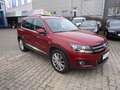 Volkswagen Tiguan Cup Sport NAVI-ALU-ABS-ESP-Met.-CD-Klimatronic! Rosso - thumbnail 6