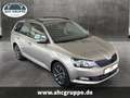 Skoda Fabia Combi Edition 1.2 TSI 66kW, Sitz-Hzg, PDC hi., Kli Beige - thumbnail 2