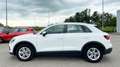 Audi Q3 Q3 45 1.4 tfsi e Business s-tronic Bianco - thumbnail 3