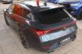 CUPRA Leon LEON SPORTSTOURER VZ 4Drive* 1.HD* PANORAMA* AHK Gris - thumbnail 8
