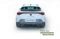 CUPRA Formentor Formentor 1.4 e-Hybrid DSG Cerchi 19'' Black Bianco - thumbnail 5