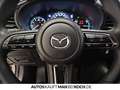 Mazda 3 5HB 2.5L 140ps 6AT FWD Homura ACC HUD Bluetooth Grau - thumbnail 12