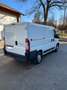 Fiat Ducato GR-Panorama 33 L2H2 2,2 JTD 100 - thumbnail 2