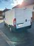 Fiat Ducato GR-Panorama 33 L2H2 2,2 JTD 100 - thumbnail 3