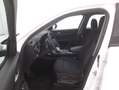 Alfa Romeo Stelvio Business AT8 2.1 Diesel 160CV Bianco - thumbnail 10