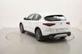 Alfa Romeo Stelvio Business AT8 2.1 Diesel 160CV Bianco - thumbnail 3