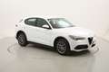 Alfa Romeo Stelvio Business AT8 2.1 Diesel 160CV Bianco - thumbnail 7
